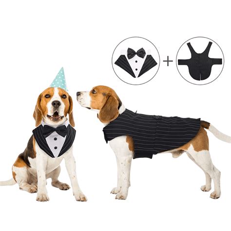 Pup Arazzi Ready The Top 5 Dog Tuxedos To Dress Up Your Dog