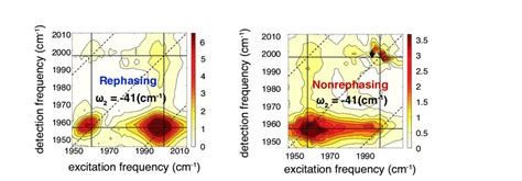 Figure S3 Coherence Maps Absolute Value Amplitude For The Rephasing