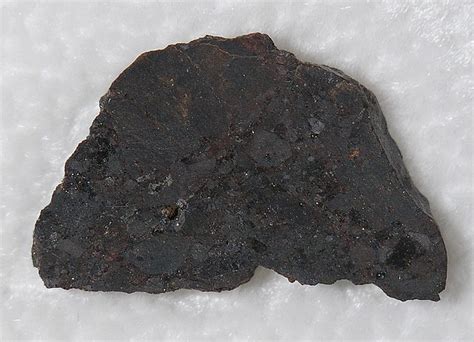 Nwa 4478 Météorite Primitive Achondrite Primitive Lodranite