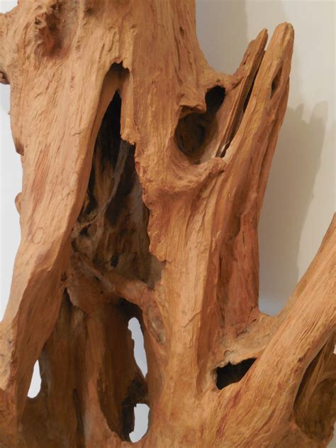 Large Interesting Driftwood Sculpture At 1stdibs Large Driftwood