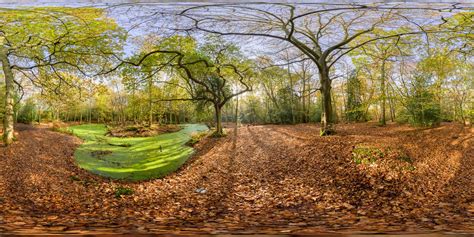 360 Hdri Panorama Of Epping Park In High 30k 15k Or 4k Resolution