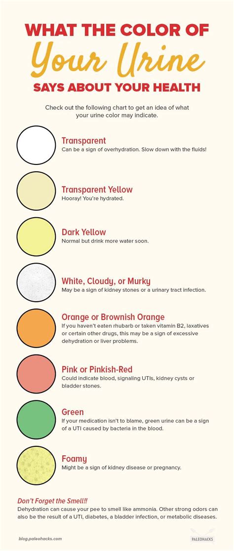 5 Causes Of Dark Urine What Does Bright Colored Urine Mean The