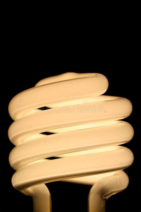 Compact Fluorescent Light Bulb Stock Photo Image Of Bulb Lightbulb