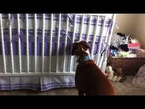 But when a newborn cry.it's a whole different game. Boxer Responds To Newborns First Cries - YouTube