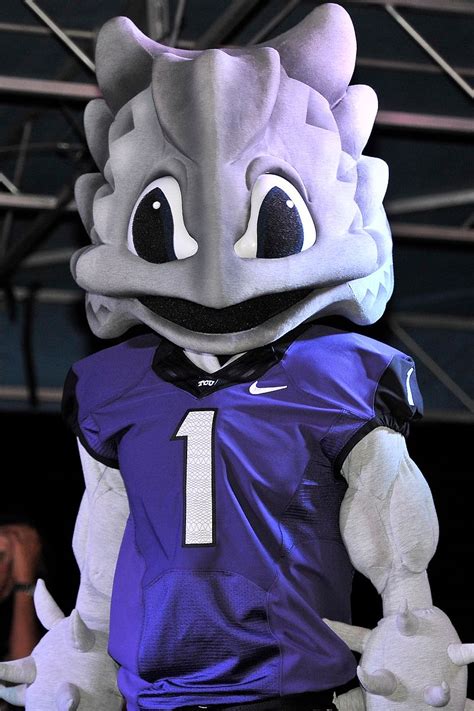 Which College Football Mascots Could You Beat In A Fight O T Lounge
