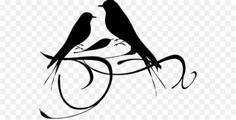Gambar Burung Hitam Putih Png Burung Hitam Hitam Sederhana Burung Png
