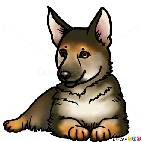 Draw the hind legs on the sides of the puppy's body by first drawing a curved line on the left side. How to draw a German Shepherd, Dogs and Puppies easy drawing