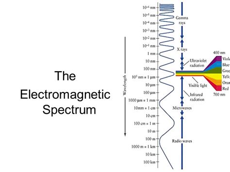 Electromagnetic Spectrum And Properties Of Light Diagram Quizlet