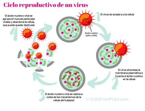 Como Os Na'vi Se Reproduzem