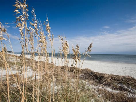 South Carolina Usa Holidays And Tourism South Carolina Beaches