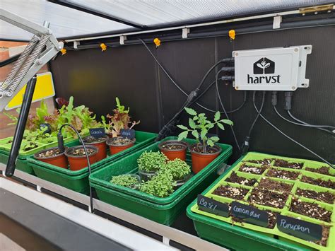 The benefits of adding home-grown food to your diet - Harvst