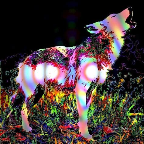 Psychedelic Art Howling Wolf Conceptual By GrayWolfGallery On Etsy