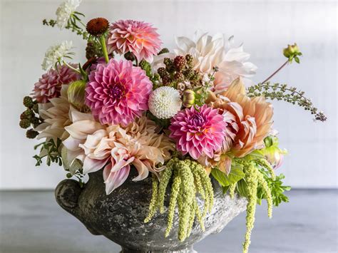 What are the best flowers for cutting. Best Bouquet Flowers to Grow - Sunset Magazine