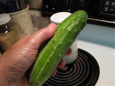 simply homemaking how to milk a cucumber