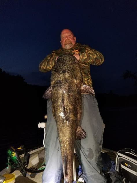 Man Catches Massive Record Breaking Flathead Catfish In St Croix