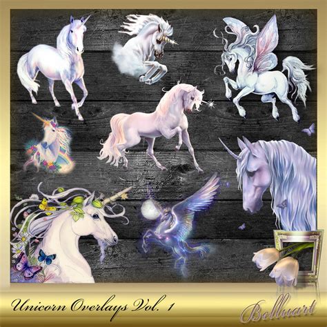 8 Unicorn Overlay Vol 1 Unicorn Overlays Magical Effect Etsy
