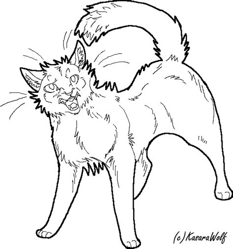 Angry Cat Drawing Angry Cat Drawing At Getdrawings Free Download