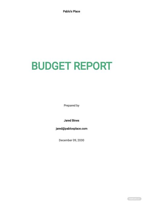 317 Free Sample Budget Templates Edit And Download