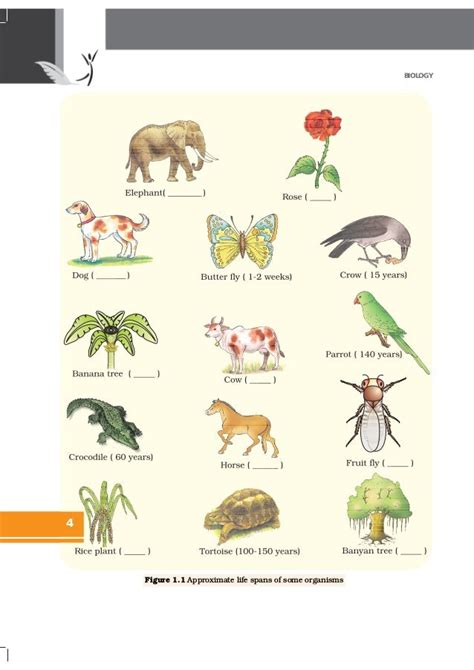 Ncert Books Class 12 Biology Chapter 1 Reproduction In Organism
