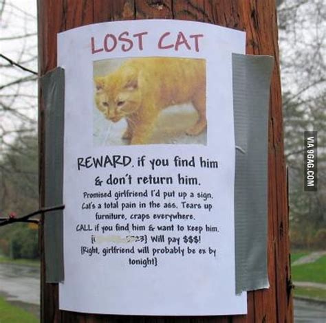 Unusual Lost Cat Sign 9gag
