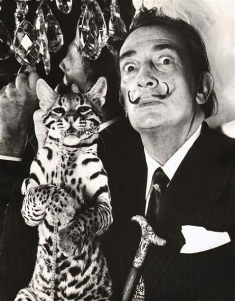 Dalí And His Pet Ocelot Babou 1964 Photographer Ed Pfizenmaier