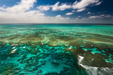 Great Barrier Reef The Largest Coral Reef Tourism In The World