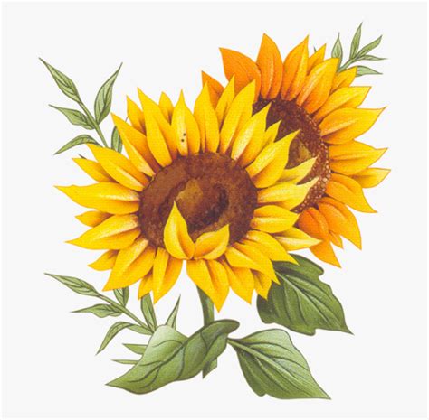 Free 52 Free Svg Of Sunflower Svg Png Eps Dxf File