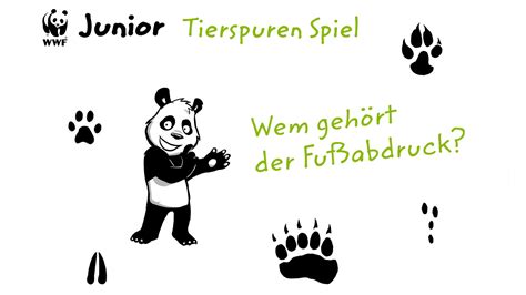 Rätsel tierspuren im schnee : Rätsel Für Kindergeburtstage - kinderbilder.download ...