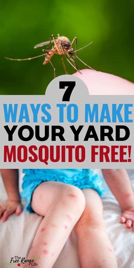 Get Rid Of Mosquitoes 7 Natural Mosquito Repellents For Your Yard