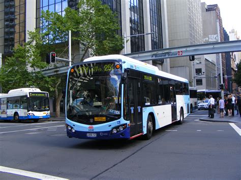 Sydney Buses - australia.SHOWBUS.com BUS IMAGE GALLERY