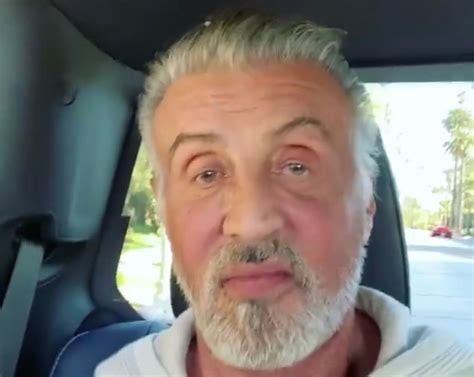 Sylvester Stallone Ditches Hair Dye To Debut Full Head Of Gray Hair