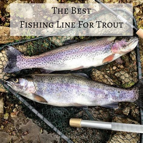 Beyond the pure test strength of a fishing line, there are several other important factors to consider when fishing for trout. TThe Best Fishing Line For Trout (Top 5 Reviews Plus ...