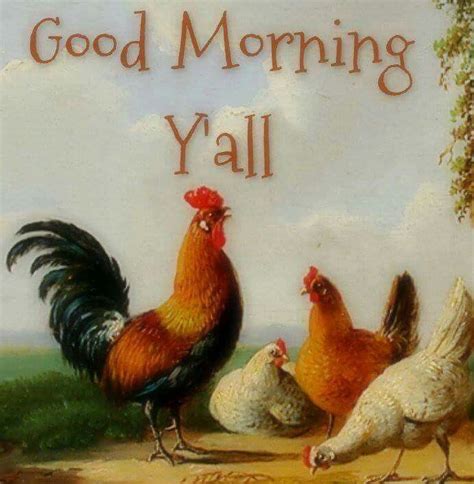 Pin By Mo On Good Morning Good Morning Chicken Pictures Good