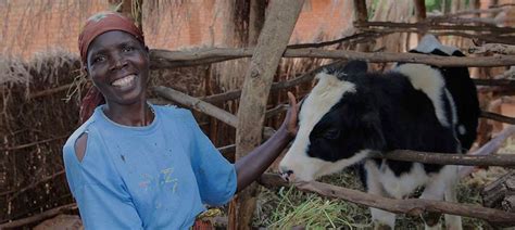Women Farmers Will Save Us Heifer International