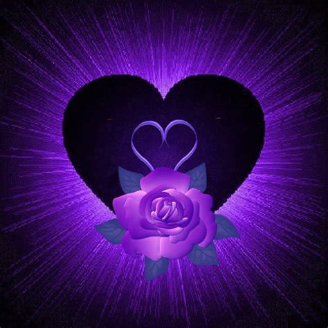 Hearts And Love Purple Flowers Purple Roses Purple Love