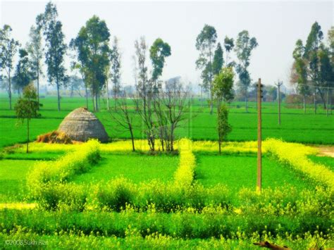 Punjab Village Photography Artistic Pictures Punjab