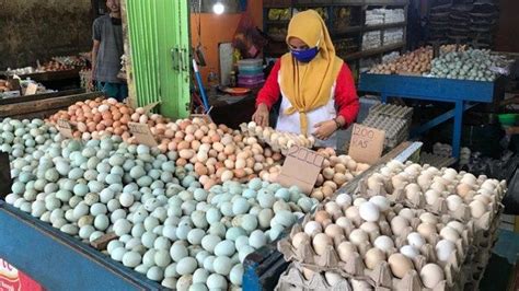 Harga Telur Ayam Terkini Harga Telur Ayam Isi 1 Murah Terbaru 2022