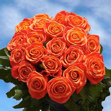 3 photos · curated by shavonn richardson. Birthday Flower Rose | GlobalRose
