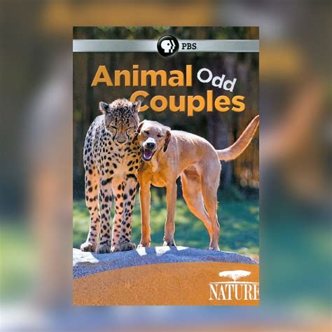 Nature Animal Odd Couples Forever Young Adult