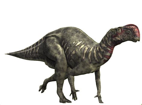 Altirhinus Dinosaur Wiki Fandom Powered By Wikia