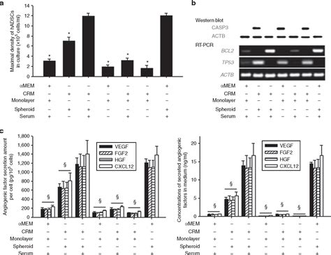 Maybe you would like to learn more about one of these? Efficacious and Clinically Relevant Conditioned Medium of ...