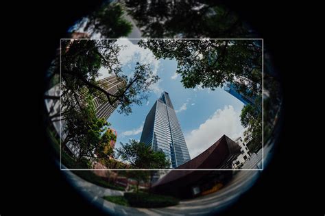 Complete Guide to the Fisheye Lens And How It Works - Photography Project