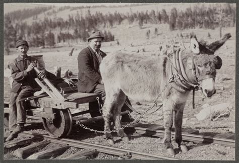 Donkey Pulling Small Railroad Car Amon Carter Museum Of American Art
