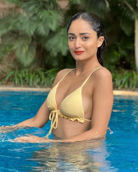 Bollywood Actress Tridha Choudhury Latest Photos Photos Hd Images Pictures News Pics