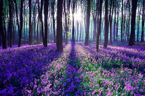 For example, sending oakville hospital flowers to help your friend speed up their recovery. Forum - top model | 6