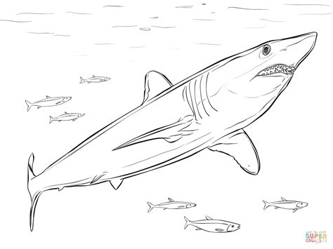 Make a coloring book with great white shark megalodon for one click. Desenho de Tubarão-mako de barbatana curta para colorir ...