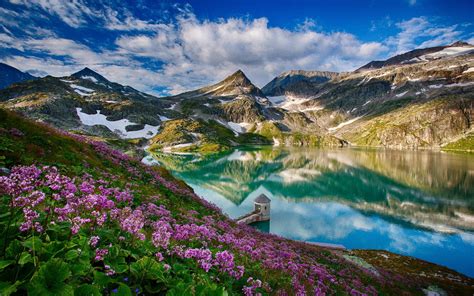 Beautiful Spring Mountains Lake Flowers Water