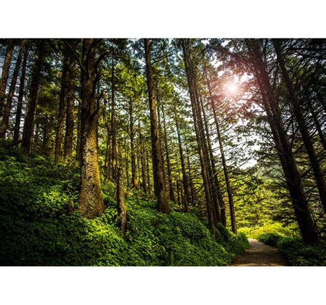 Foto circa paesaggio soleggiato nel parco in autunno. Paesaggio Soleggiato Hd : Immagini Stock Soleggiato ...