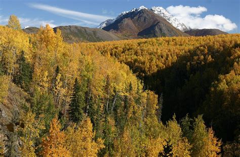 12 Scenic Hiking Trails In Anchorage You Should Not Miss 2024
