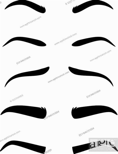 Eyebrows Vector Dark Eyebrow Model Set Of Different Shapes Isolated On